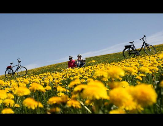 Today in Pictures: April 30, 2012