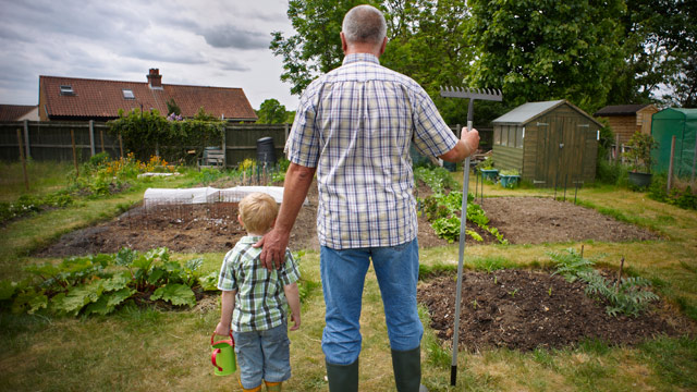 PHOTO: Grandfather and Grandson stand back looking at their vegetable patch.