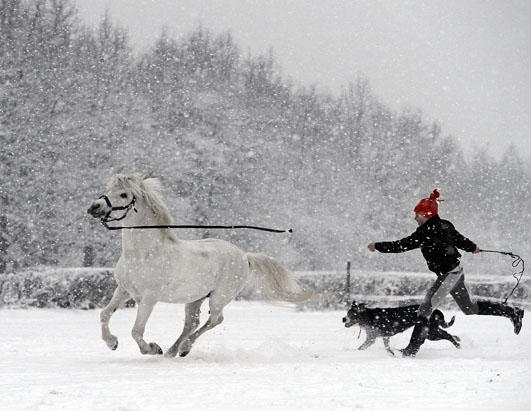 Today in Pictures