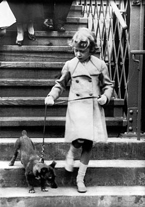 Queen Elisabeth's Corgis