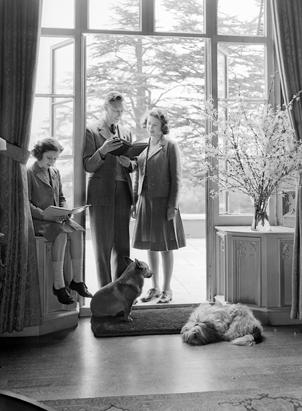 Queen Elisabeth's Corgis