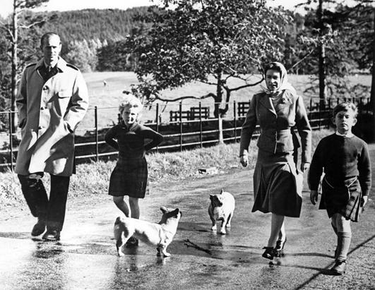Queen Elisabeth's Corgis