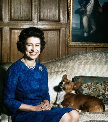 Queen Elisabeth's Corgis