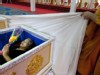 Today in Pictures: May 18, 2012