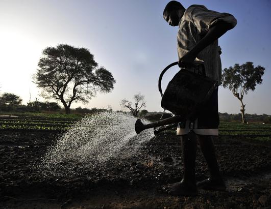 Today in Pictures: May 28, 2012