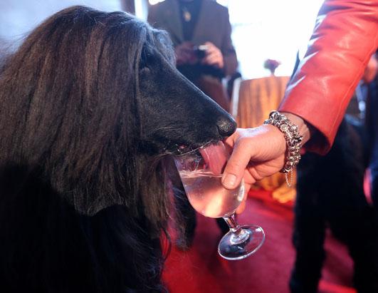Today in Pictures
