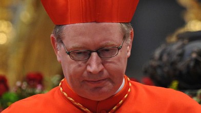 PHOTO: Dutch Cardinal Willem Jacobus Eijk receives official documents as he is appointed cardinal by Pope Benedict XVI during the Consistory, Feb. 18, 2012, at St Peter's basilica at the Vatican.