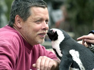 Picky Penguin Gets Her Man Back