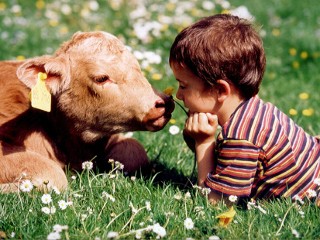 Farm holidays become popular in Germany