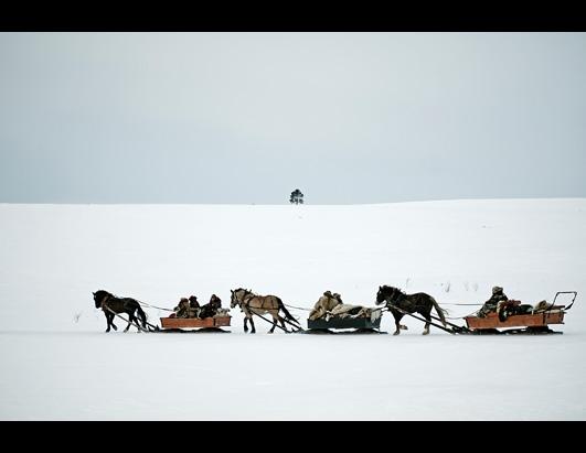 2013 Sony World Photography Awards Professional Shortlist