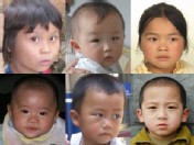 "Babies Looking for a Home