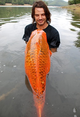 Raphael Biagini Is a Specimen Hunter on the Lookout for Big fish, Very Big Fish