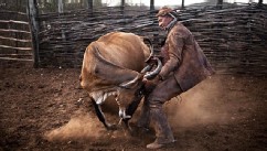 PHOTO: Cowboys of the Americas
