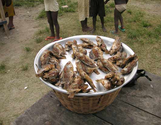 Fried Fish