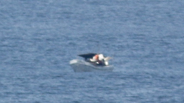 PHOTO: Jeff Gilligan of Portland captured this photo of a small fishing boat that appeared to be in distress 130 miles off the coast of Costa Rica.