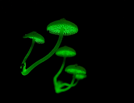 National Geographic editors' favorites from the 2012 Photo Contest