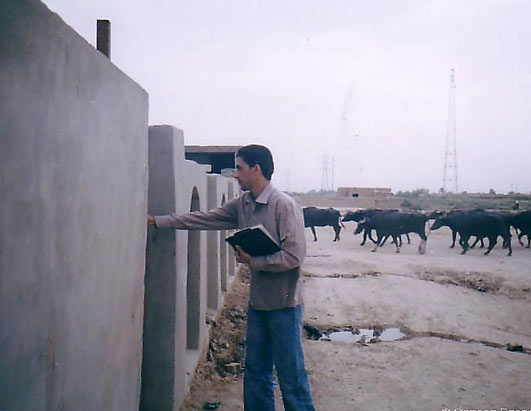 Iraq - Where Things Stand