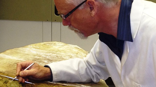 PHOTO: Conservator Neil Mahrer working in a secret location on the half-ton block of ancient buried treasure.