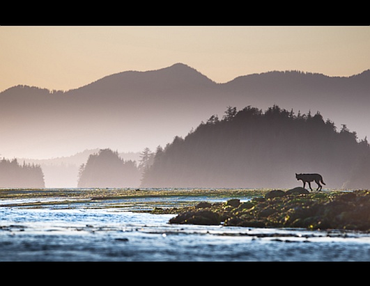 National Geographic editors' favorites from the 2012 Photo Contest