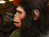 Planet of the Apes 