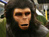 Planet of the Apes 