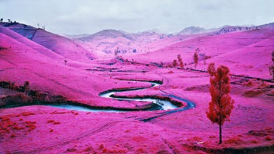 PHOTO: Richard Mosse, Platon, North Kivu, Eastern Congo, 2012. Digital c-print. Courtesy of the artist and Jack Shainman Gallery, New York.