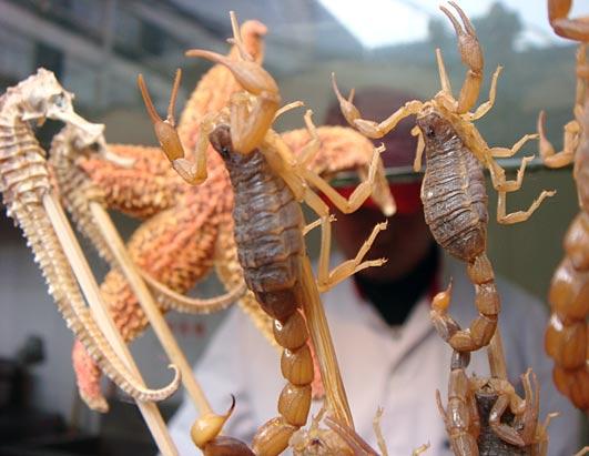 Exotic Food of China