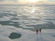 Arctic