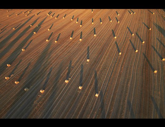 National Geographic editors' favorites from the 2012 Photo Contest