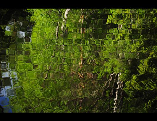 National Geographic editors' favorites from the 2012 Photo Contest