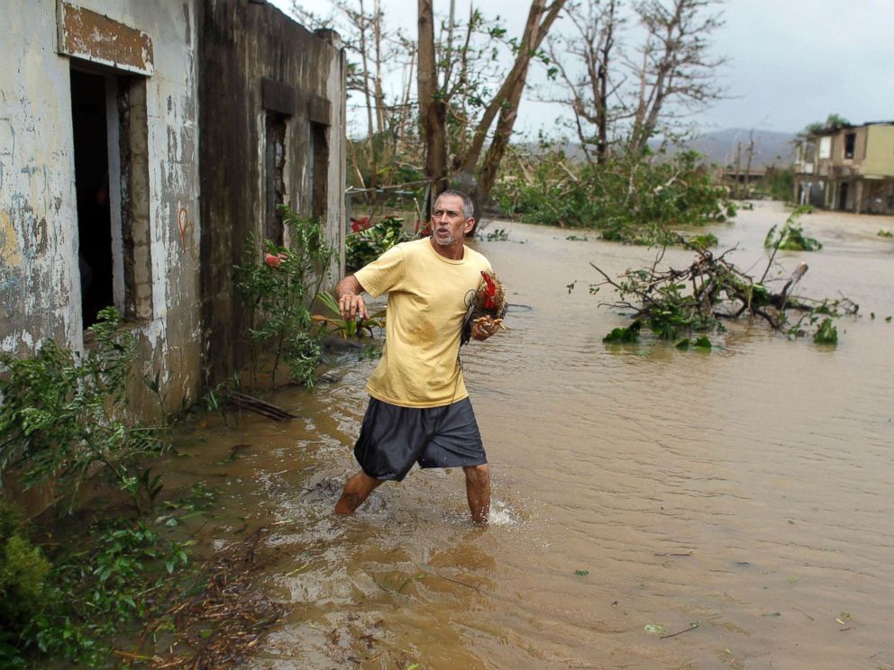PHOTO: A man rescues a rooster from his flooded garage as Hurricane Maria hits Puerto Rico in Fajardo, on Sept. 20, 2017.