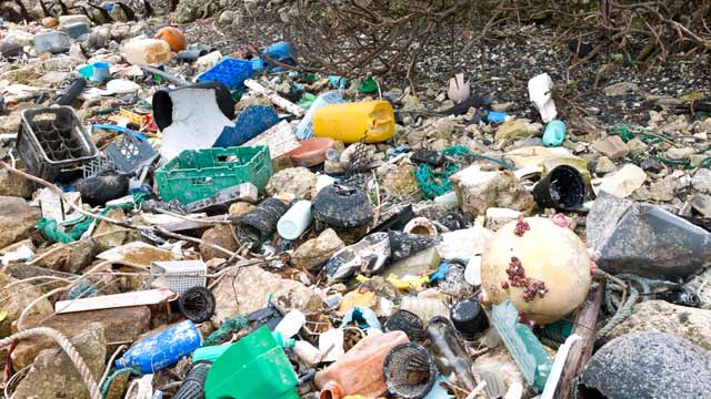 PHOTO: Plastic debris on beach