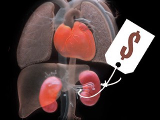 organs