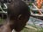 Niger Delta
