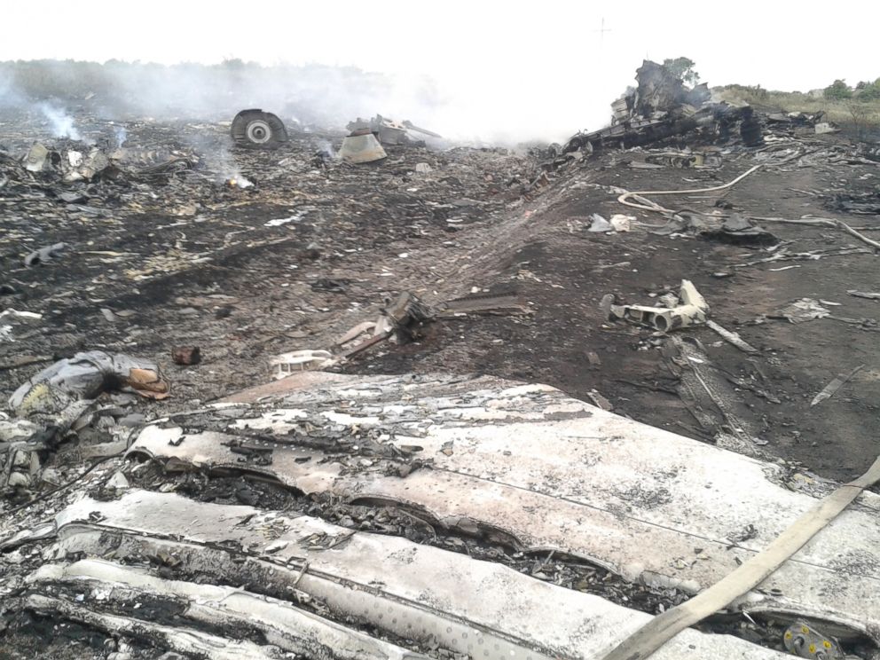 PHOTO: A general view shows the site of a Malaysia Airlines Boeing 777 plane crash in the settlement of Grabovo in the Donetsk region, July 17, 2014. 