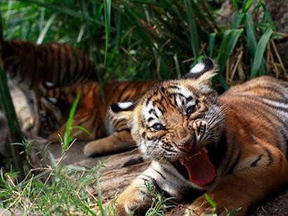 Photos: This Week in Pictures: May 18-24