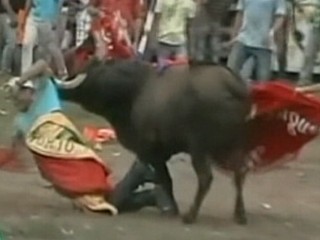 Watch: Colombia Bullfight: At Least 30 People Gored