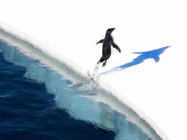 WATCH: Arctic Experiencing Unprecedented Rates of Change, Experts Warn