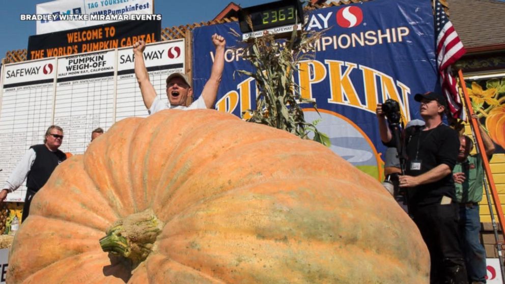 giant-pumpkin-weighing-more-than-2-300-pounds-breaks-american-record