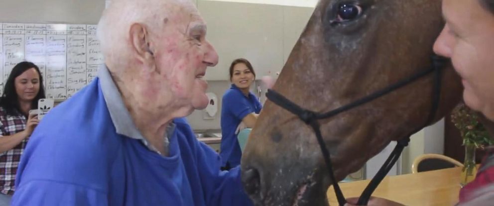 VIDEO: Horse visits retirement home in touching video