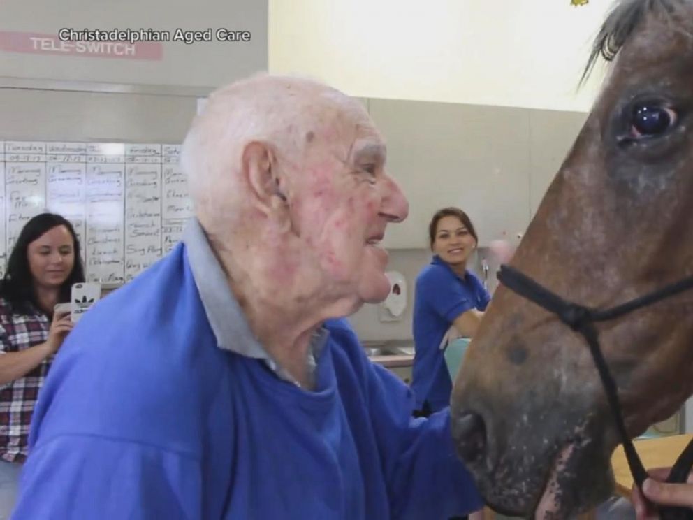 VIDEO: Horse visits retirement home in touching video