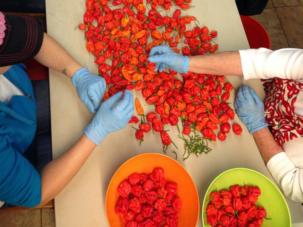 PHOTO: Carolina Reapers are a crossbreed made by farmer Ed Currie at The Puckerbutt Pepper Company in Rock Hill, South Carolina. These peppers are said to be more than 100 times hotter than a jalapeno.