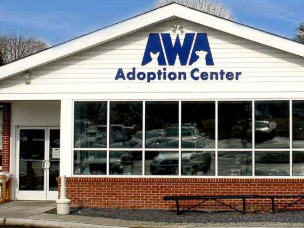 PHOTO: The Animal Welfare Association in Voorhees, New Jersey, have received over 350 offers from people across the country who want to adopt Burrito--some as far as Canada.
