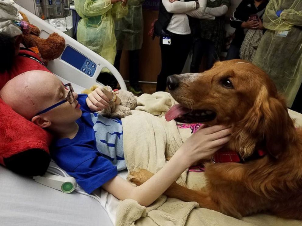 PHOTO: Brooke Mulford was granted wish of seeing inspiration film A Dogs Purpose and even got a visit from screenwriter Cathryn Michon and the films star dog, Trip.