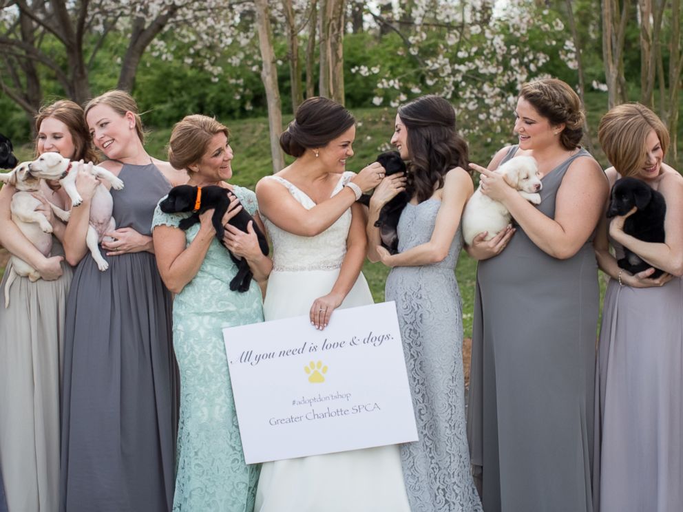 PHOTO: Bridesmaids trade bouquets for rescue puppies in Meghan Butlers North Carolina wedding photos.