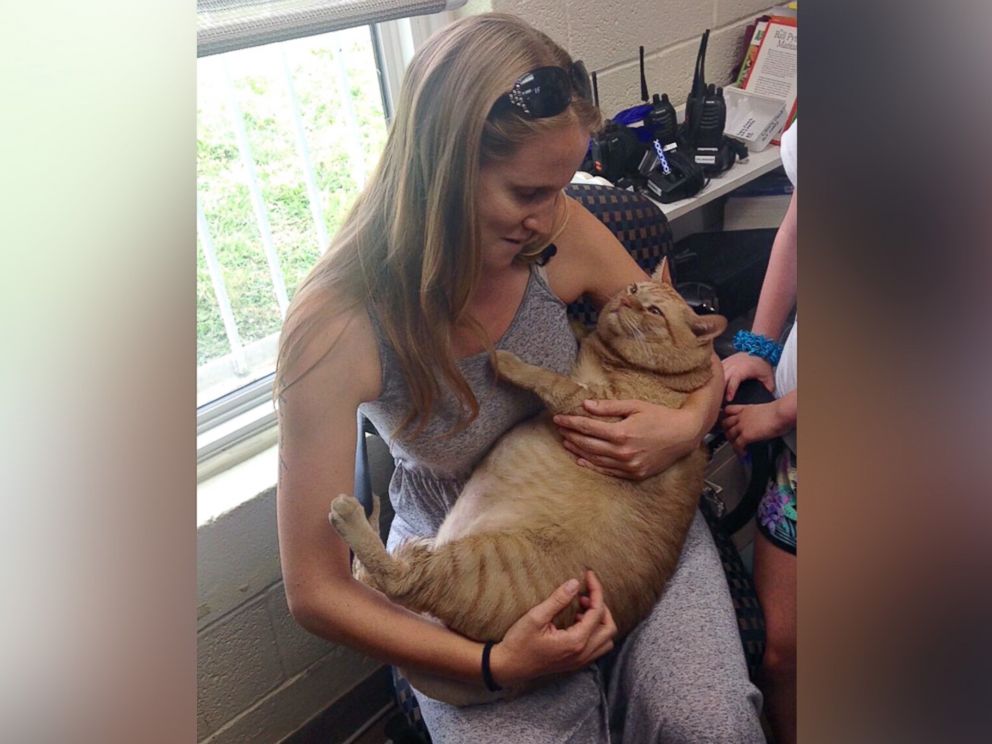 PHOTO: Symba the 35-pound cat has been adopted by Kiah Berkeley and Peter Sorkin of Mount Rainier, Maryland.