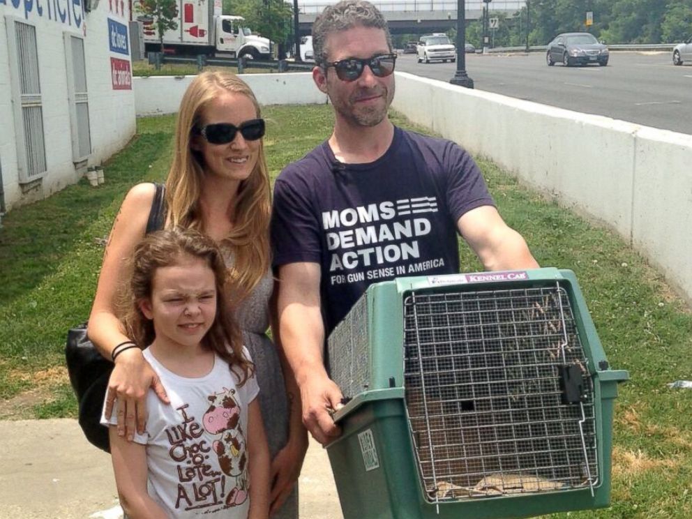 PHOTO: Symba the 35-pound cat has been adopted by Kiah Berkeley and Peter Sorkin of Mount Rainier, Maryland.