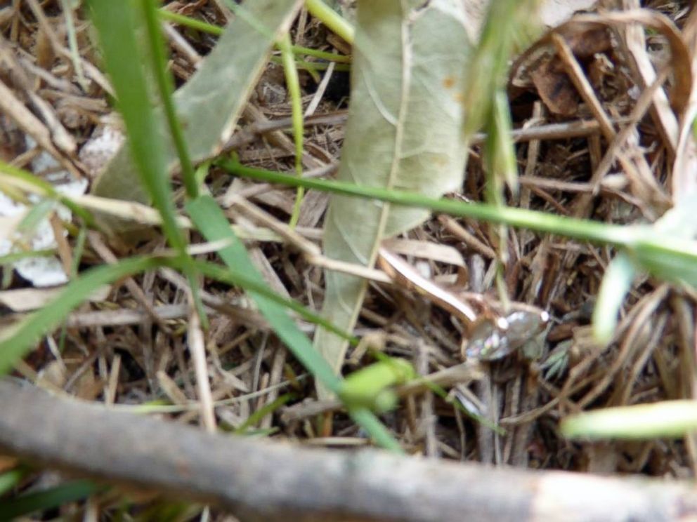 PHOTO: Hobby metal detector Nathan Wright found Ariel Dukes wedding rings among the debris after a tornado destroyed her Canton, Texas, home.