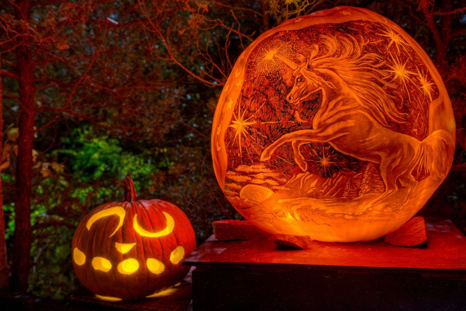 Halloween 2014: Amazing Pumpkin Carvings Photos | Image #9 - ABC News1600 x 1068
