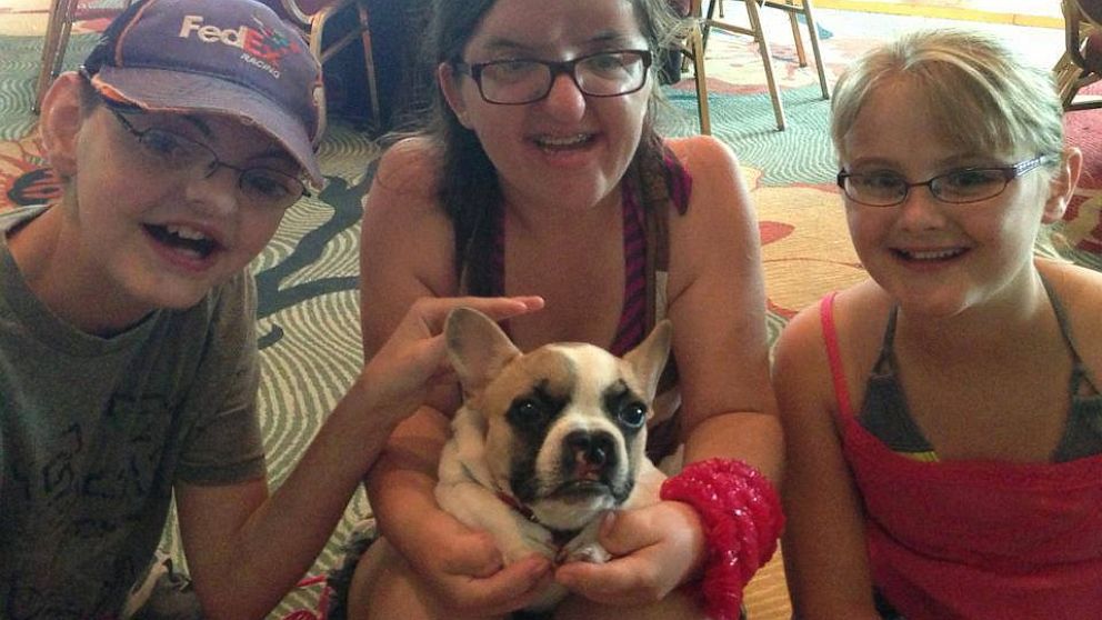 PHOTO: french bulldog, facial deformities